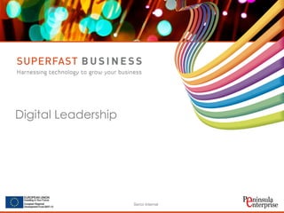 Serco Internal 
Digital Leadership  