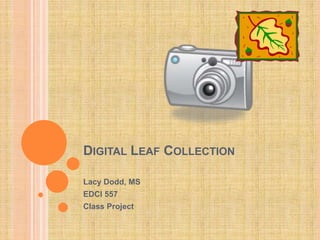 Digital Leaf Collection Lacy Dodd, MS EDCI 557 Class Project 