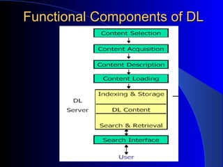 Functional Components of DL 