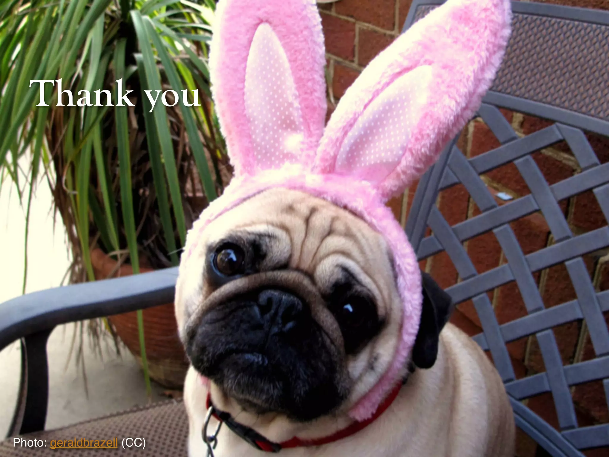 Thank you
Photo: geraldbrazell (CC)!