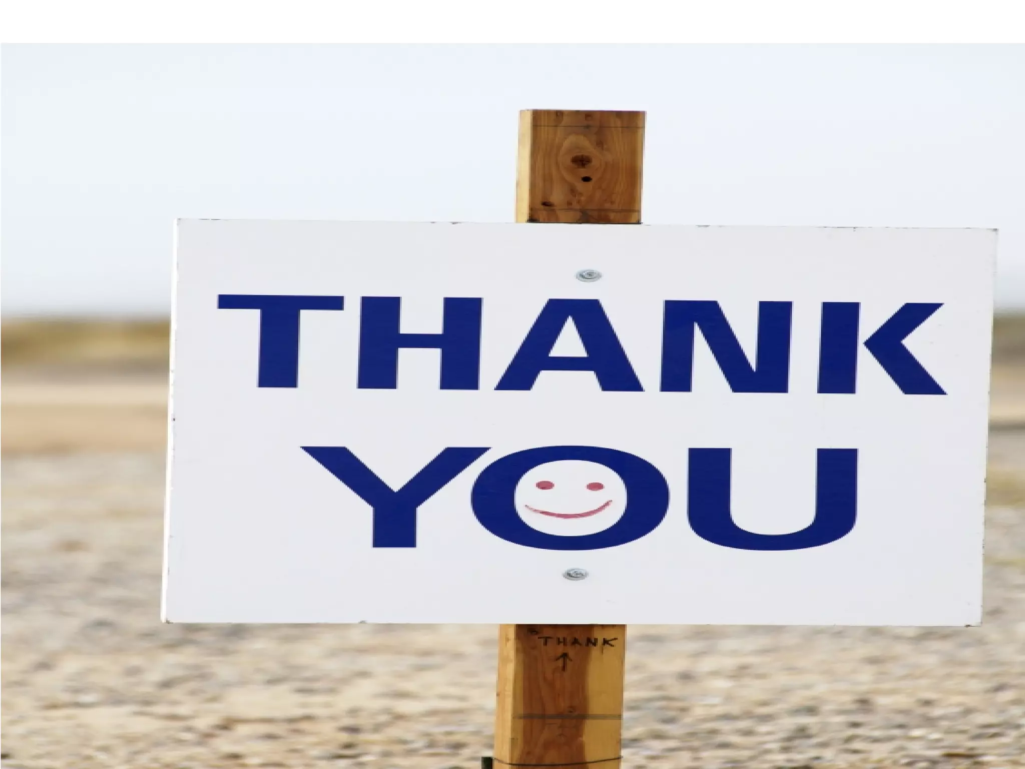  Digital Literacy:  Learning How to Search and Evaluate Information