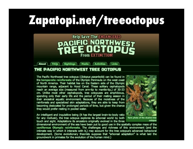 http pbskids org webonauts