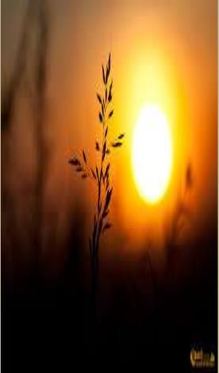 Digital magazine 2014 -15