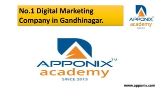 No.1 Digital Marketing
Company in Gandhinagar.
www.apponix.com
 