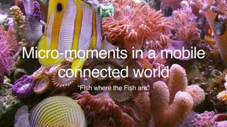 Micro-moments in a mobile
connected world
“Fish where the Fish are”
…
 
