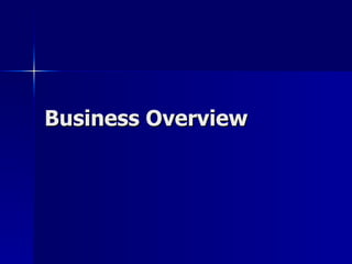 Business Overview 