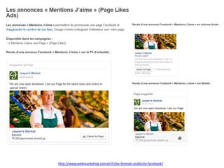 Les emplacements
http://www.webmarketing-conseil.fr/les-formats-publicite-facebook/
 
