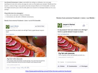 Les emplacements
http://www.webmarketing-conseil.fr/les-formats-publicite-facebook/
 