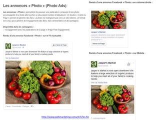 Les emplacements
http://www.webmarketing-conseil.fr/les-formats-publicite-facebook/
 