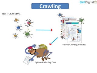 Crawling
 
