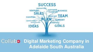 Digital Marketing Company in
Adelaide South Australia
 