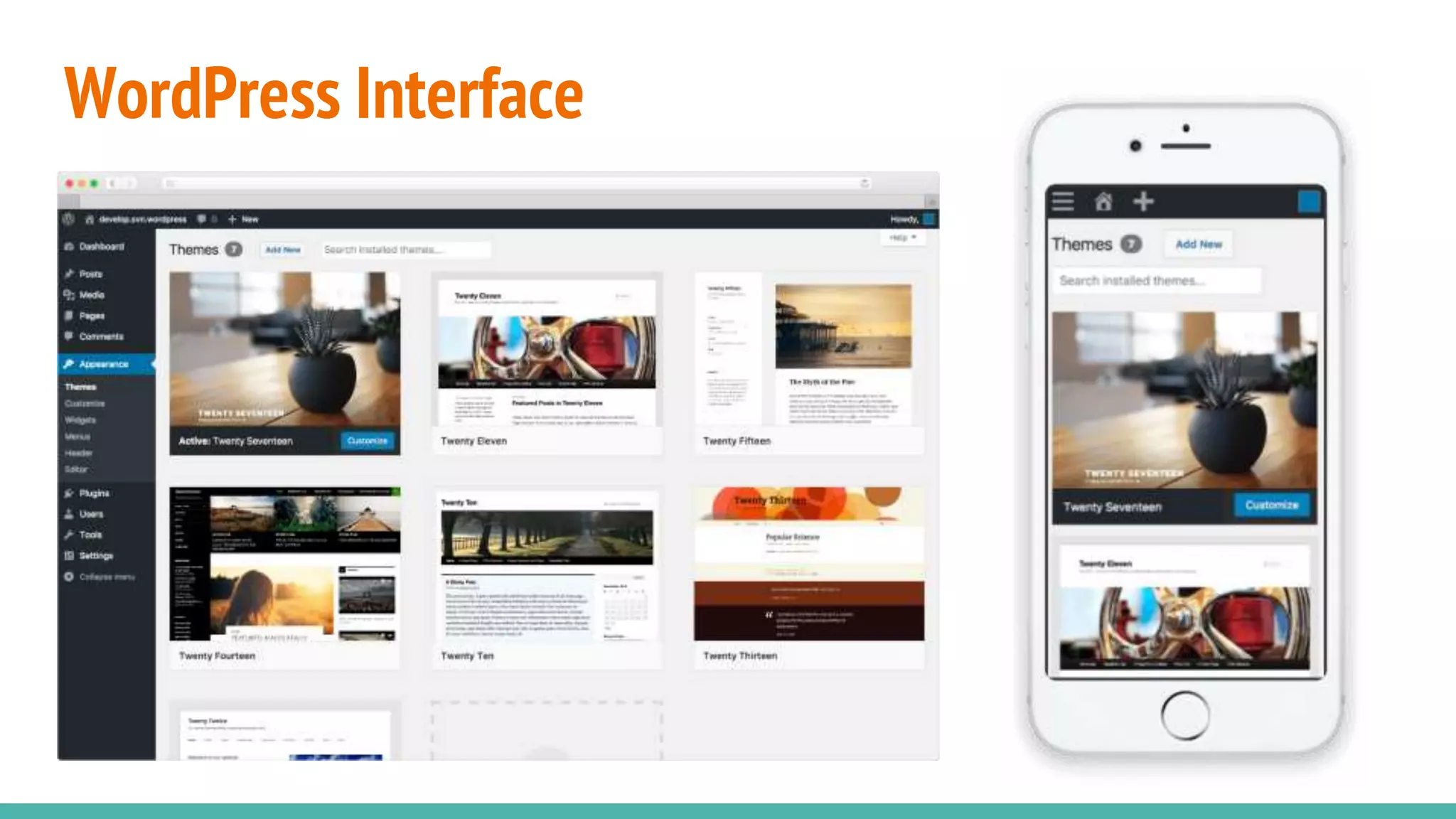 WordPress Interface
 