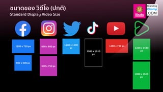 1280 x 720 px 600 x 600 px
600 x 750 px
1200 x 1200
px
1080 x 1920
px
1280 x 720 px
1080 x 1920
px
1200 x 1540
px
600 x 600 px
ขนาดของ วิดีโอ (ปกติ)
Standard Display Video Size
 