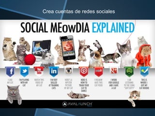 Crea cuentas de redes sociales 
 