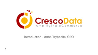 Introduction - Anna Trybocka, CEO
1
 