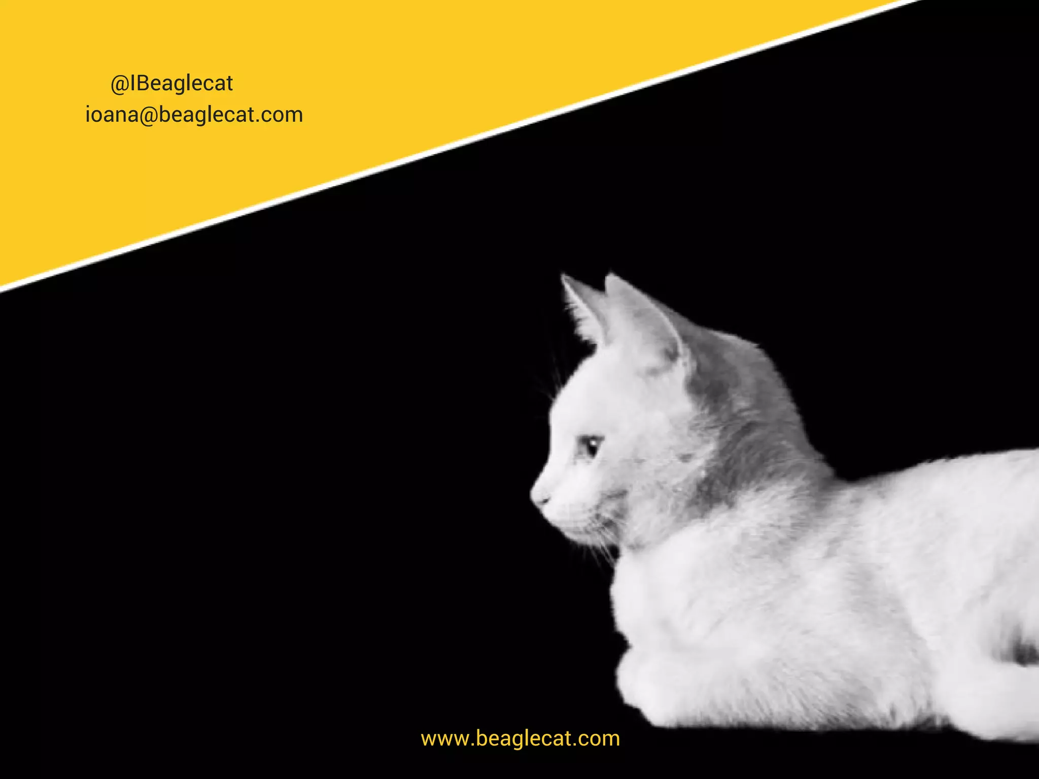 www.beaglecat.com
@IBeaglecat
ioana@beaglecat.com
 