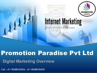 Digital Marketing Overview
Promotion Paradise Pvt Ltd
Call: +91-9568003636, +91-9568003639
 
