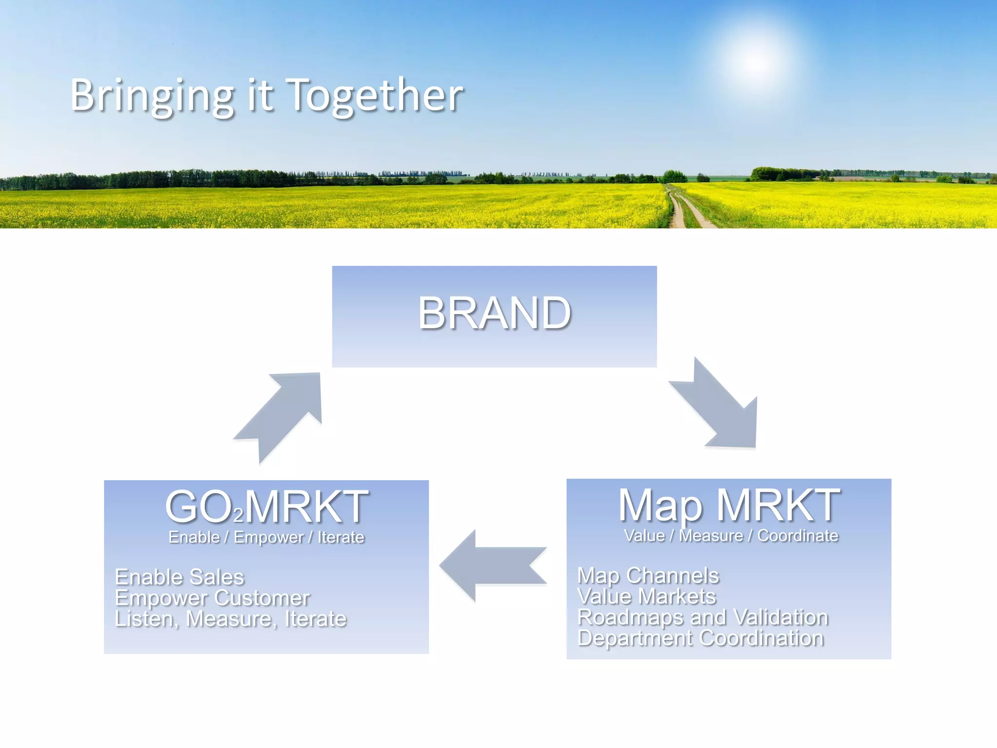 BRAND
GO2MRKTEnable / Empower / Iterate
Enable Sales
Empower Customer
Listen, Measure, Iterate
Map MRKTValue / Measure / Coordinate
Map Channels
Value Markets
Roadmaps and Validation
Department Coordination
Bringing it Together
 