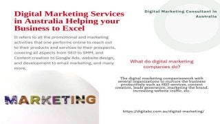 Digital Marketing Services | Complete SEO Services 