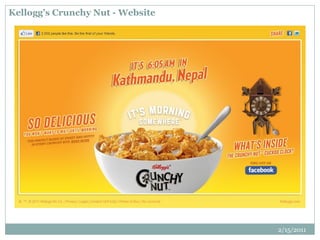 Kellogg’s Crunchy Nut - Website
2/15/2011
 