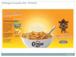 Kellogg’s Crunchy Nut - Website
2/15/2011
 