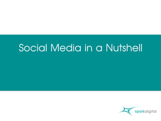 Social Media in a Nutshell
 