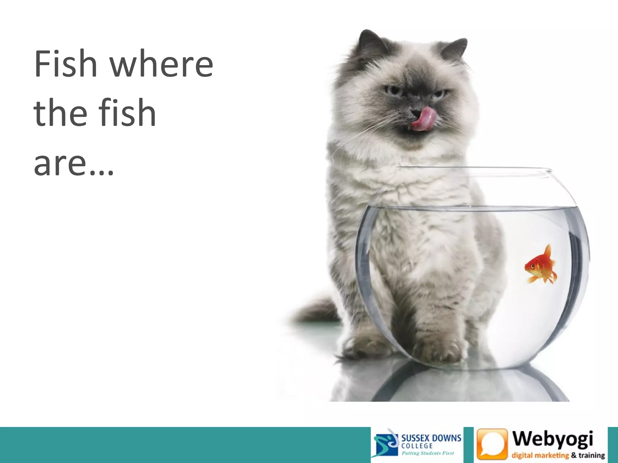 Fish where
the fish
are…
 