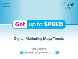 Digital Marketing Mega Trends
Nina Goodwin
@GUTS_SW @Cosmic_UK
 