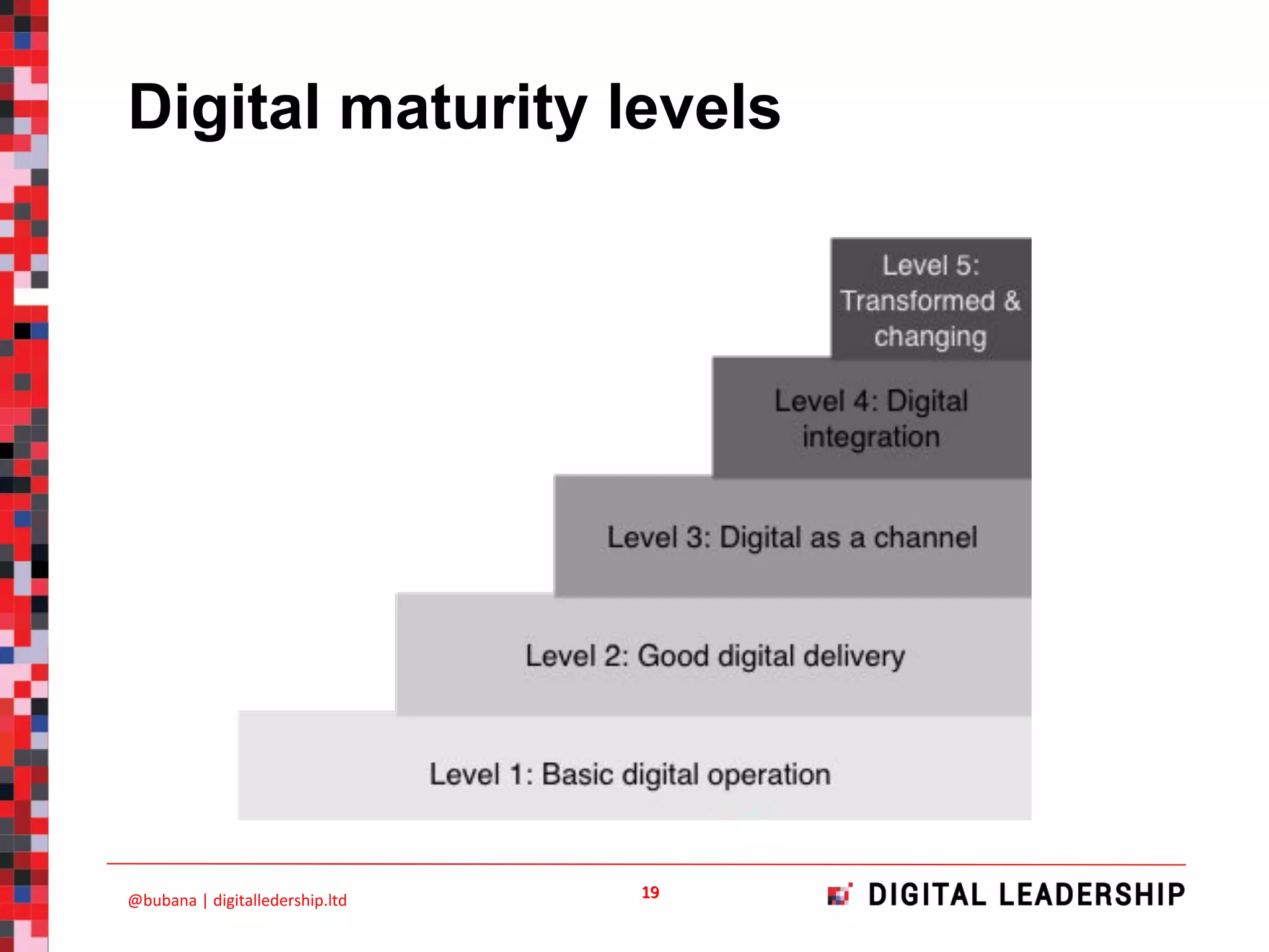Digital maturity levels
 