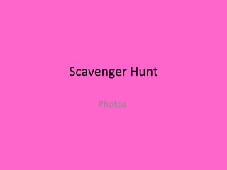 Scavenger Hunt Photos  