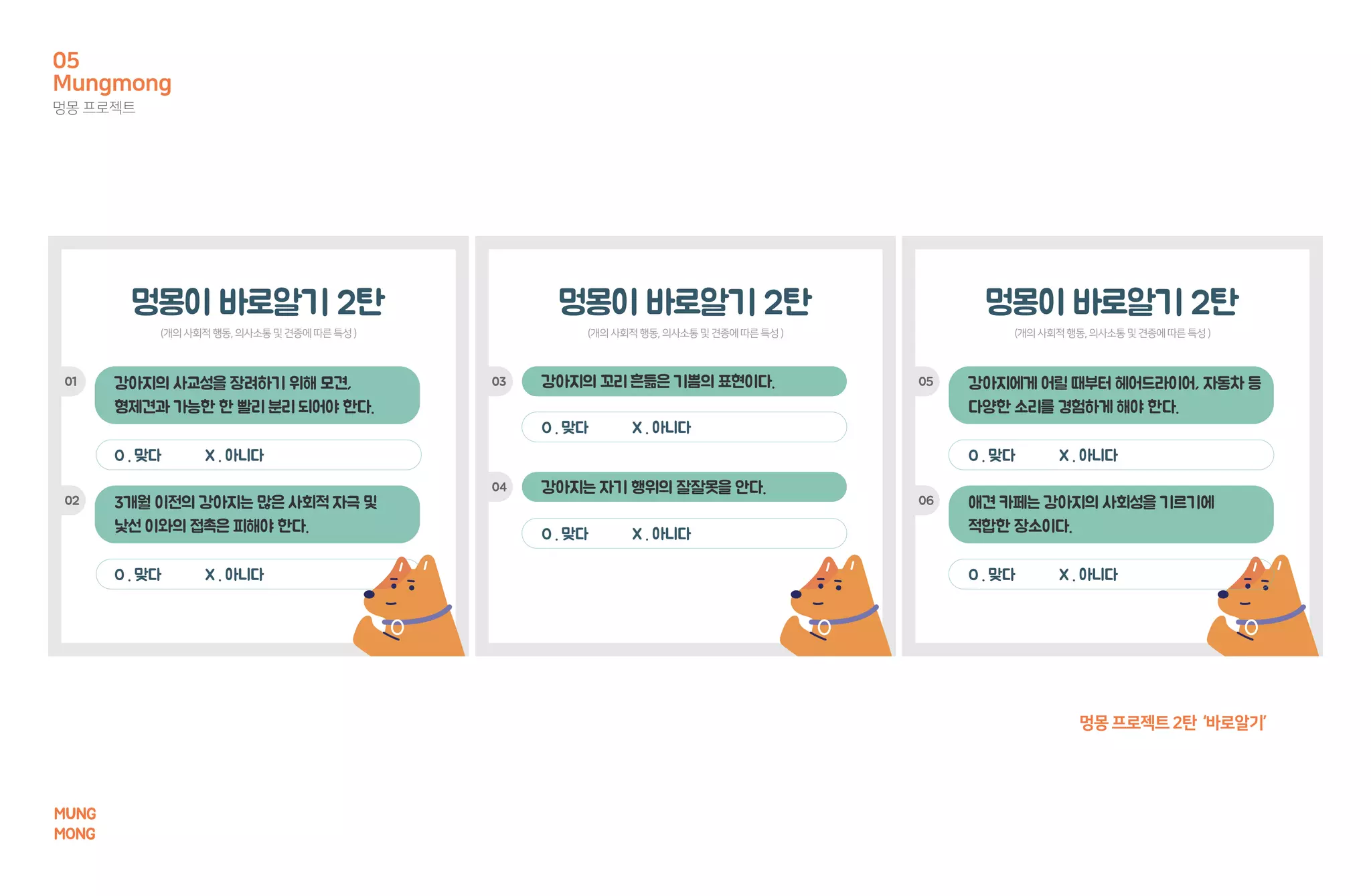 멍몽프로젝트2탄 ‘바로알기’
Mungmong
멍몽 프로젝트
05
MUNG
MONG
 