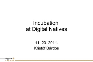 Incubation  at Digital Natives 11. 23. 2011. Kristóf Bárdos 