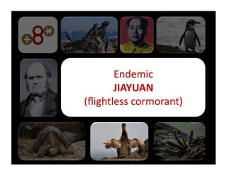 Endemic	
  	
  
       JIAYUAN	
  
(ﬂightless	
  cormorant)	
  
 