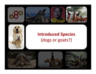 Introduced	
  Species	
  
  (dogs	
  or	
  goats?)	
  
 