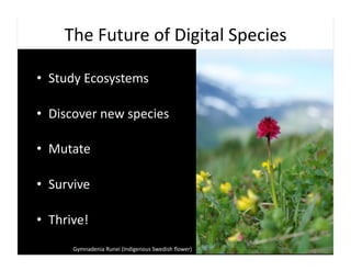 The	
  Future	
  of	
  Digital	
  Species	
  

•  Study	
  Ecosystems	
  

•  Discover	
  new	
  species	
  

•  Mutate	
  

•  Survive	
  

•  Thrive!	
  
         Gymnadenia	
  Runei	
  (Indigenous	
  Swedish	
  ﬂower)	
  
 