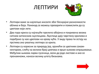 ЛЕПТИРИ
• Лептири важе за најлепше инсекте због бескрајне разноликости
облика и боја. Понекад се можеш преварити и помислити да су
цветови који лете.
• Два пара крила су најчешће прелепо обојена и покривена веома
ситним хитинским љуспицама. Љуспице дају чврстину крилима и
поређане су као црепови на крову куће. У виду праха ти остају на
прстима ако ухватиш лептира за крила.
• Лептири су корисни за природу јер, хранећи се цветним соком-
нектаром, слећу на велики број цевтова и врше њихово опрашивање.
Међутим њихова ларва-гусеница, воли да једе листове и ако се
пренамножи, наноси велику штету биљкама.
 