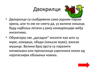 Двокрилци
• Двокрилци су снабдевени само једним паром
крила, али то им не смета да, уз вилине коњицe,
буду најбољи летачи у јакој конкуренцији међу
инсектима.
• Обухвтајау све „досадне“ инсекте као што су
муве, комарци, обaди (коњске муве), винске
мушице. Велики број врста су паразити
кичмењака или преносиоци узрочника неких од
најопаснијих обољења човека.
 
