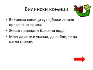 Вилински коњици
• Вилински коњици су најбољи летачи
прекрасних крила.
• Живот проводе у близини воде.
• Могу да лете и уназад, да лебде, те да
нагло скрену.
 