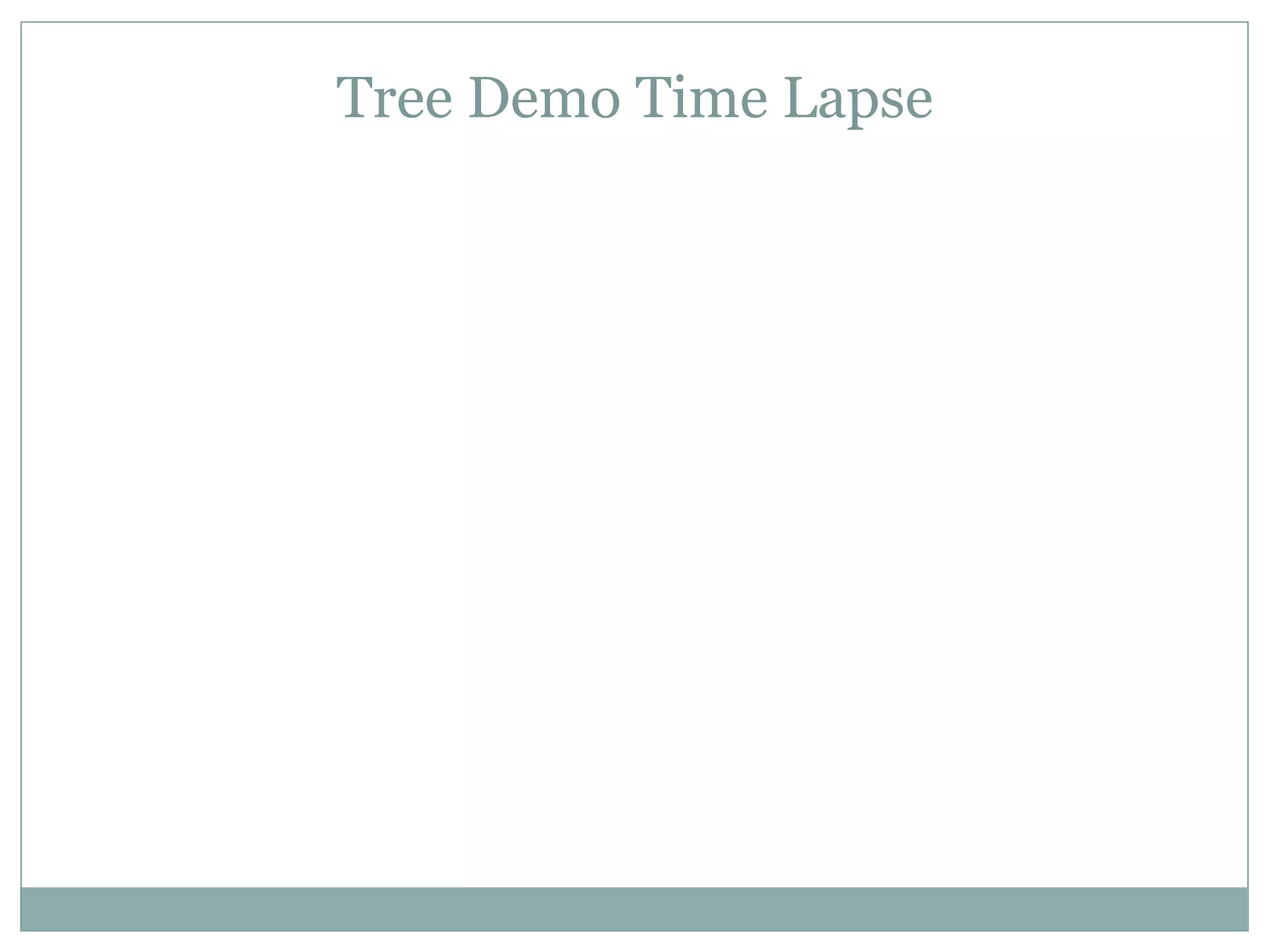 Tree Demo Time Lapse
 