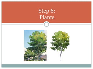Step 6:
Plants
 