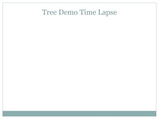 Tree Demo Time Lapse
 