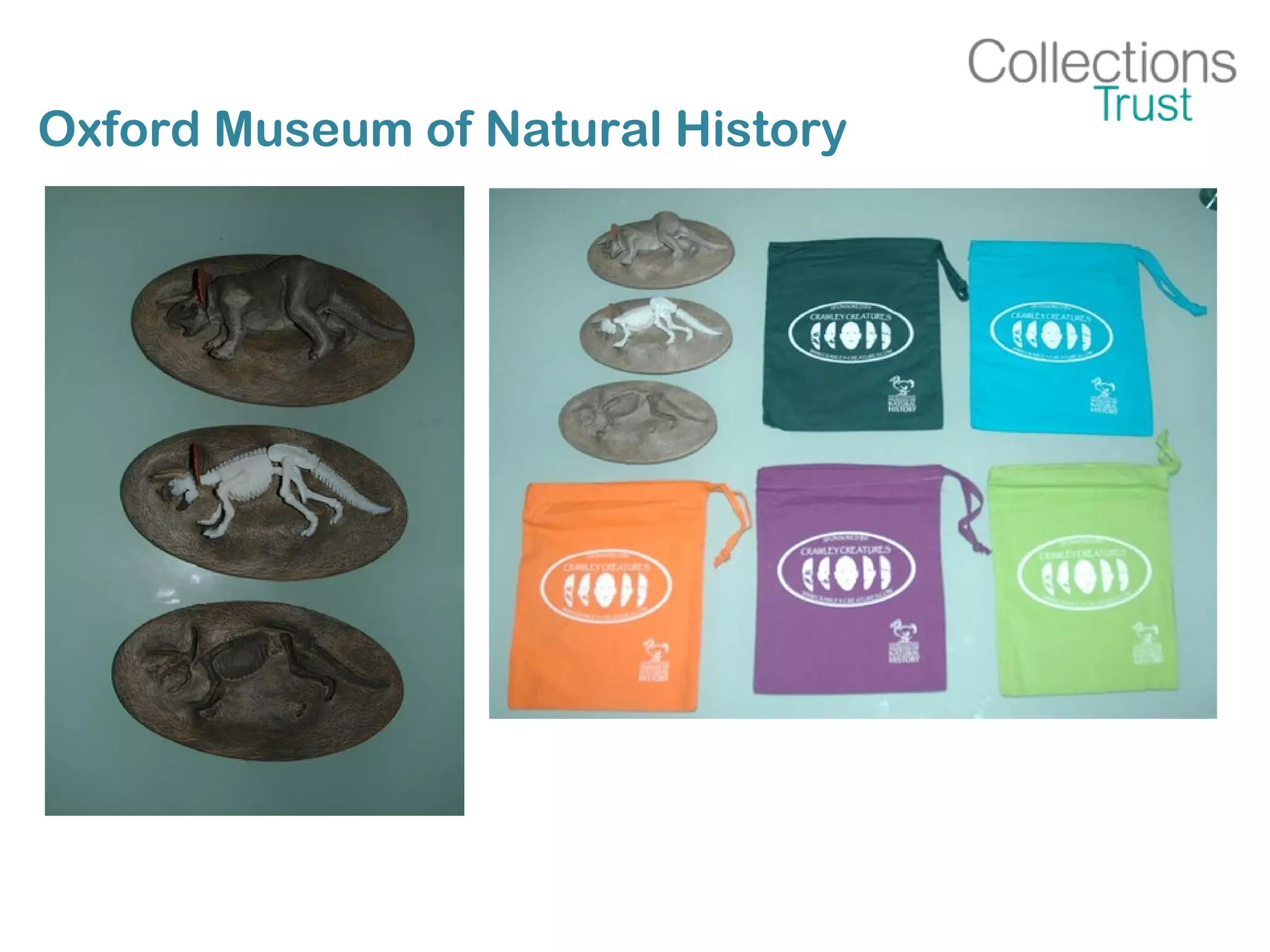 Oxford Museum of Natural History
 