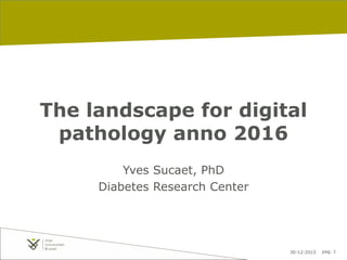 30-12-2015 pag. 1
The landscape for digital
pathology anno 2016
Yves Sucaet, PhD
Diabetes Research Center
 
