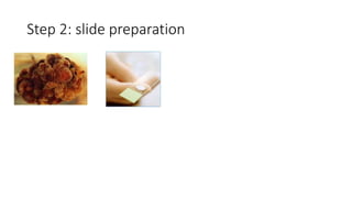 Step 2: slide preparation
 