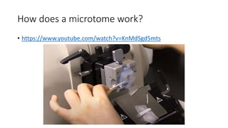 How does a microtome work?
• https://www.youtube.com/watch?v=KnMdSgd5mts
 