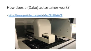How does a (Dako) autostainer work?
• https://www.youtube.com/watch?v=OkUfldg6-CA
 
