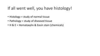 If all went well, you have histology!
• Histology = study of normal tissue
• Pathology = study of diseased tissue
• H & E = Hematoxylin & Eosin stain (chemicals)
 