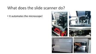 What does the slide scanner do?
• It automates the microscope!
 