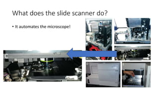 What does the slide scanner do?
• It automates the microscope!
 