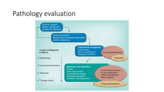 Pathology evaluation
 